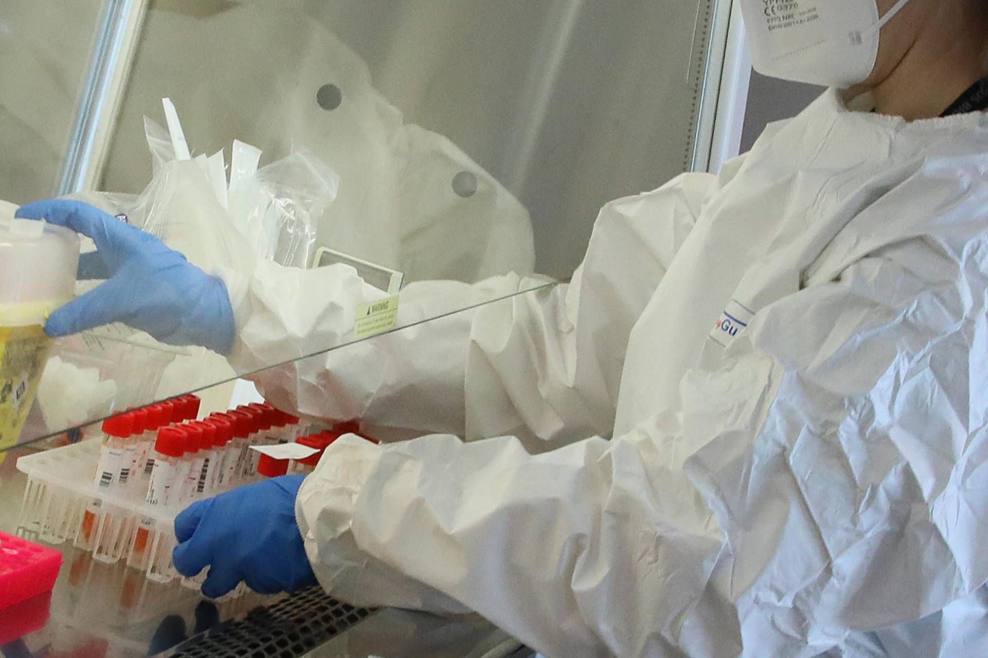 covid variante covid variante