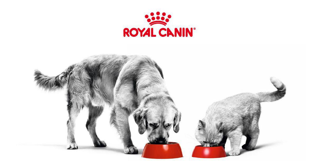 Passione, conoscenza, precisione e rispetto da oltre 50 anni, Royal Canin® per un mondo migliore per cani e gatti