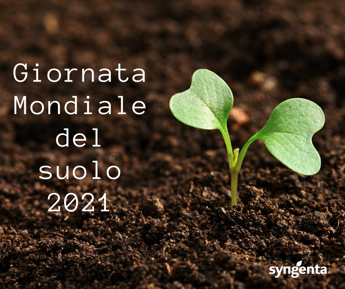 Syngenta: “Regenerative agriculture is the key to healthy soil”