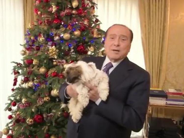 Natale, gli auguri di Berlusconi con debutto social di Gilda, lo shitzu amato dagli imperatori cinesi