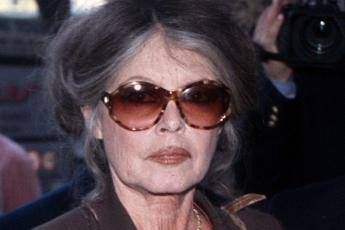 Brigitte Bardot, illness at home due to the heat in Saint-Tropez