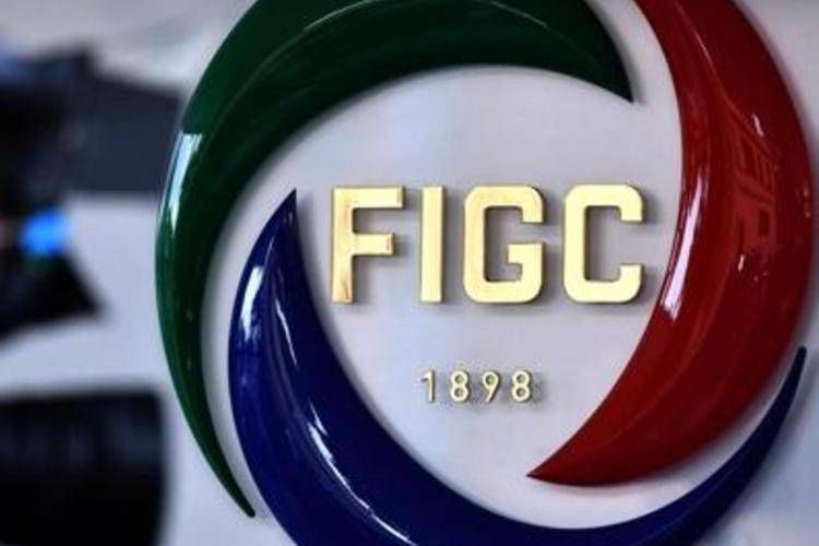 Un logo della Figc