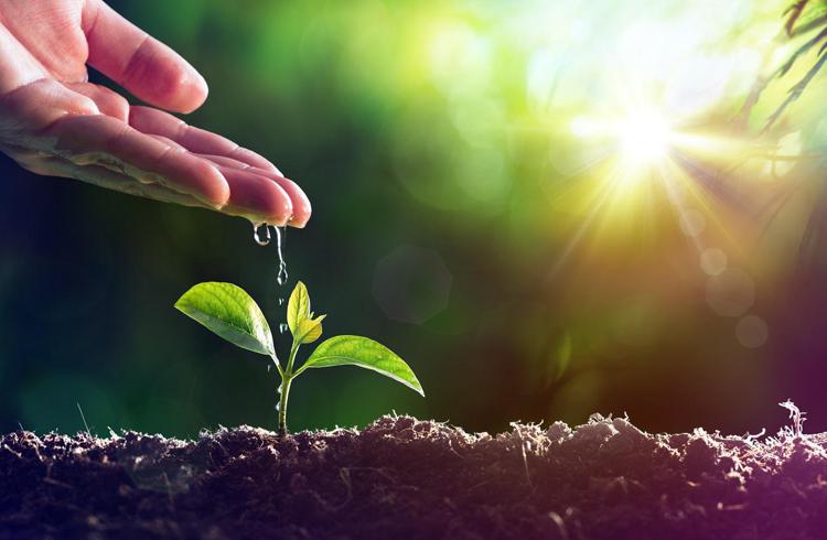 Pnrr, Cib presenta proposte per sviluppo biometano agricolo e misure agricoltura 4.0