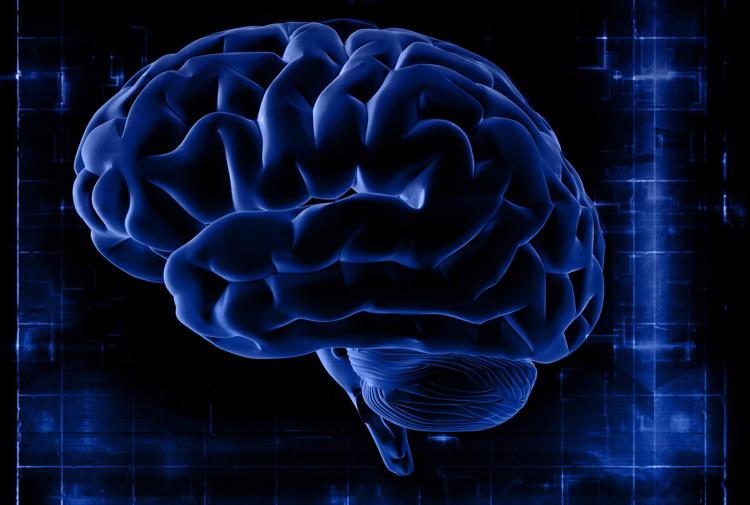 Cervello umano - (Foto 123RF)