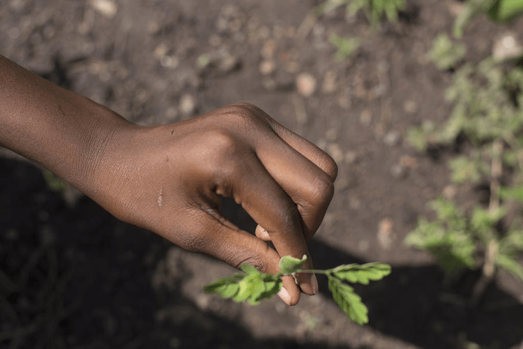 Una foto di Mohamed Keita al Palazzo di Vetro dell'Onu
