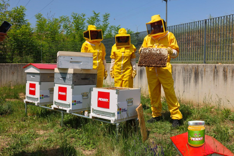 PENNY Italia accoglie 180.000 api nelle proprie sedi.