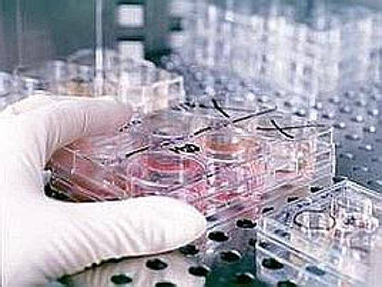 Fecondazione, non solo endometriosi: il nuovo protocllo che combatte l'adenomiosi