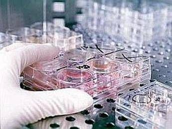 Fecondazione, non solo endometriosi: il nuovo protocllo che combatte l'adenomio