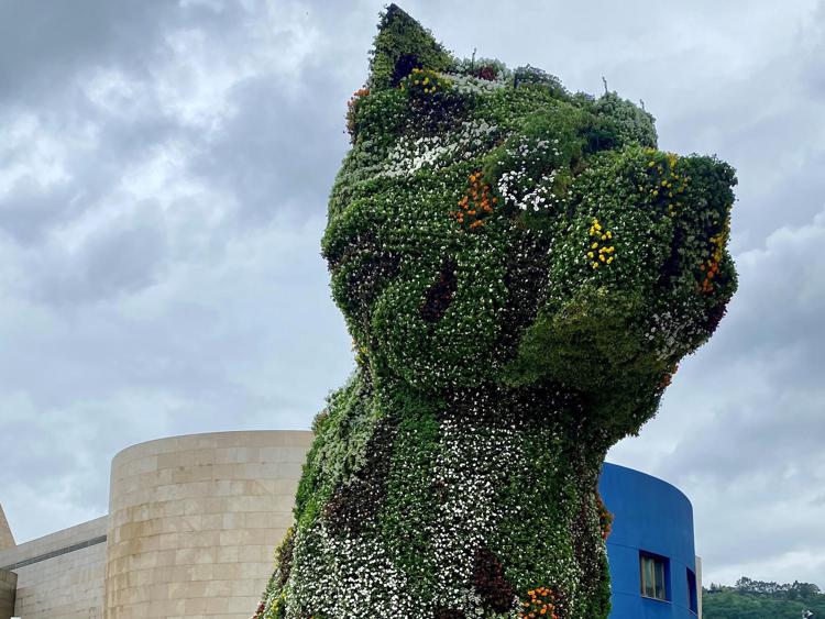 Jeff Koons ridisegna 'Puppy' davanti al Museo Guggenheim di Bilbao