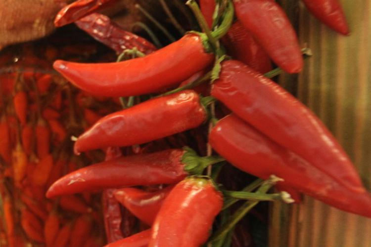 Alimenti, la produzione di peperoncino italiana è scarsa, serve rilancio