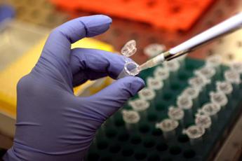 Smallpox of monkeys, virus isolated in the Sack of Milan