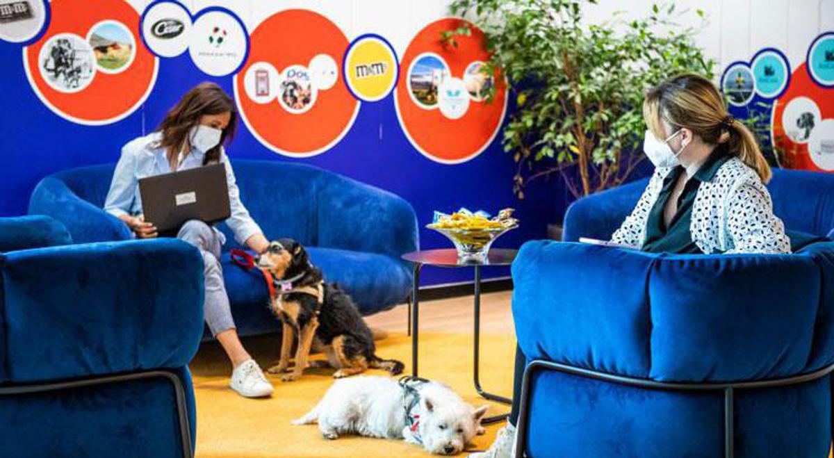 Mars-Royal Canin-AniCura, nuova sede del Gruppo in un contesto 100% pet friendly