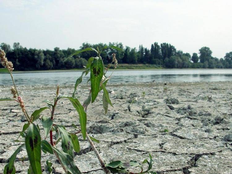 Il fiume Po in secca (Fotogramma)