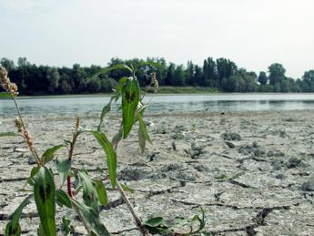 Drought, Anbi: “18% less rain on the peninsula”