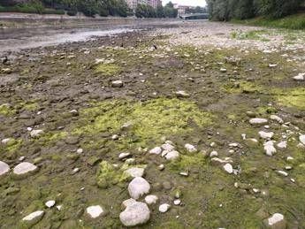 Drought, Piedmont is ‘thirsty’