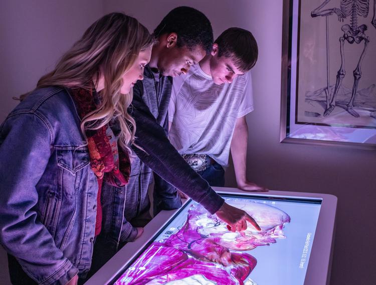 Apprendimento dell'anatomia, con strumenti 3D studenti più soddisfatti