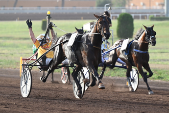 Ippica: trotto, domani a Capannelle triplo Gran Premio di fine stagione