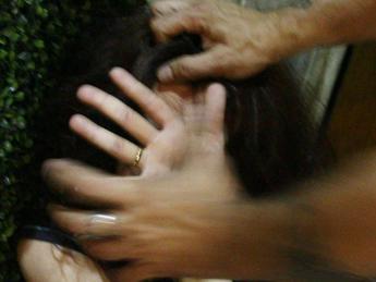 Group sexual violence in Palermo, pack arrested: among them also a minor