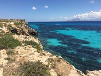 Favignana