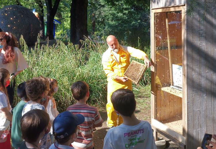 Alla Triennale una Honey Factory per avvicinare i bambini al mondo delle api