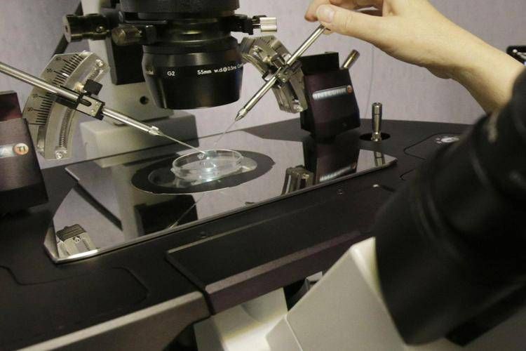 Embryologist Elaine Grossart setting up for an Intracytoplasmic Sperm Injection at the Glasgow Centre for Reproductive Medicine (GCRM) in Scotland. (Danny Lawson / IPA/Fotogramma, Glasgow - 2013-06-18) p.s. la foto e' utilizzabile nel rispetto del contesto in cui e' stata scattata, e senza intento diffamatorio del decoro delle persone rappresentate - FOTOGRAMMA