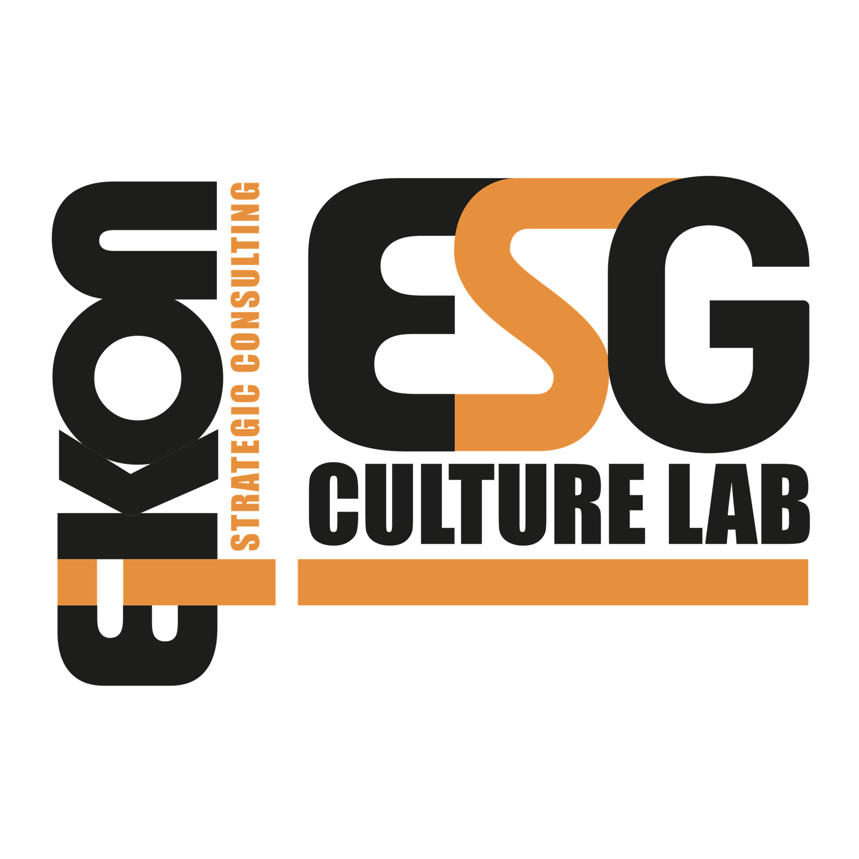 Aziende e Agenda 2030, nasce l’Osservatorio Esg Culture Lab