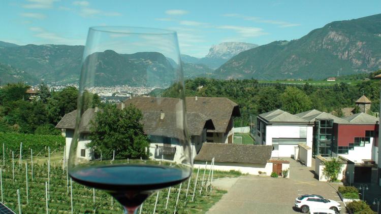 Vino: in Alto Adige viticoltura regge a siccità, sempre più sostenibile e a braccetto con il food