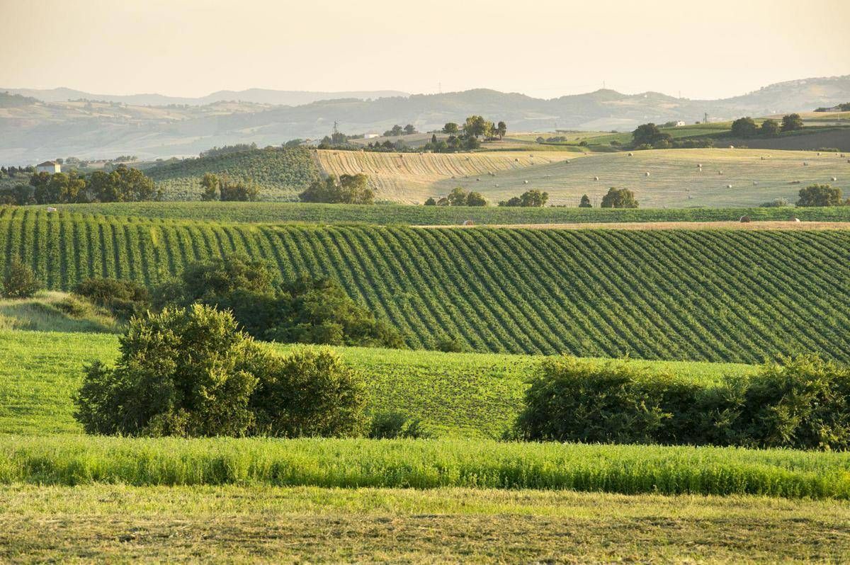 EcorNaturasì, prestito obbligazionario da 10 mln per il biologico
