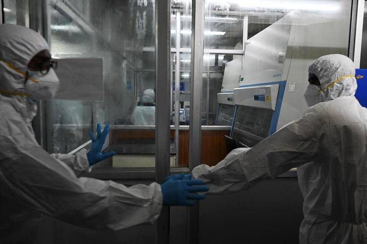 Vaiolo delle scimmie, ecco come conoscerlo: sintomi, contagio, cure e vaccino Vaiolo delle scimmie, ecco come conoscerlo: sintomi, contagio, cure e vaccino