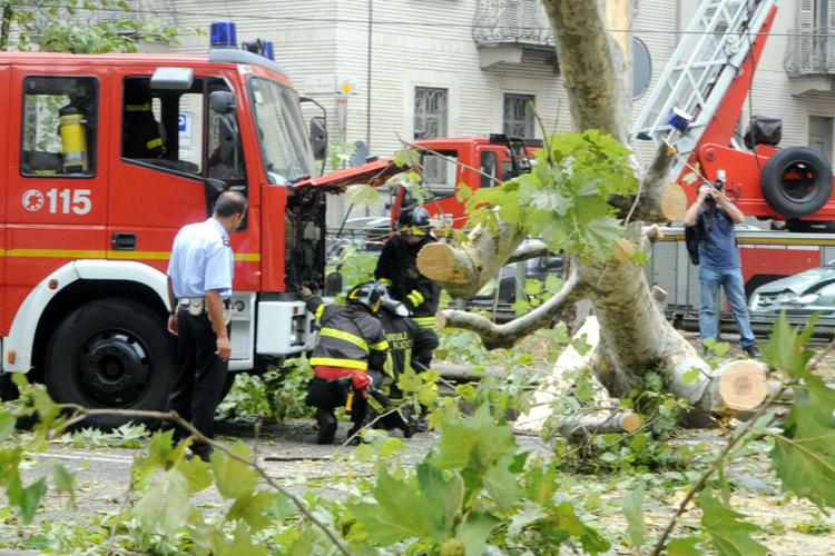 Maltempo, albero si abbatte su auto nel torinese: un morto