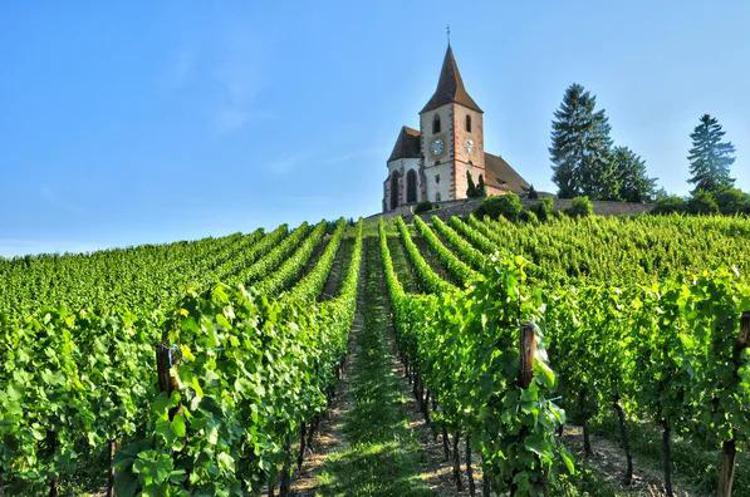 In Alsazia anche il Pinot Nero ha due nuove AOC Alsace Grand Cru
