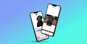 iOS 16, how to erase the background from photos and turn them into stickers