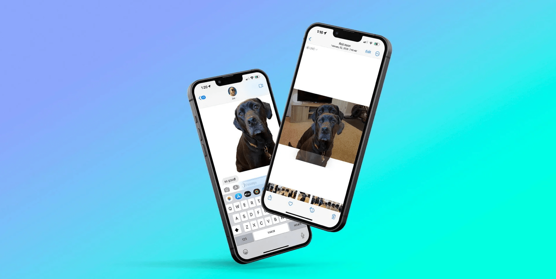 ios-16-how-to-erase-the-background-from-photos-and-turn-them-into