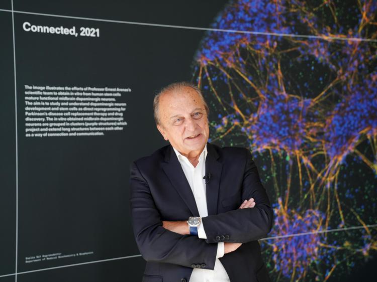 Giancarlo Comi, presidente del comitato scientifico di 'Human Brains' (Fotogramma)
