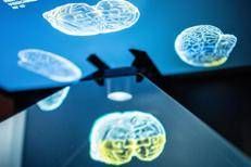 Un'immagine associata al cervello