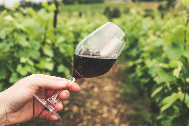 L’Organizzazione Mondiale della Sanità ancora punitiva verso il mondo del vino