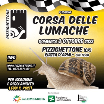Pizzighettone, storm for the snail race