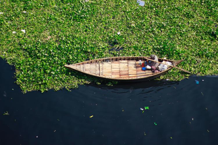 Sale il livello del mare, in Bangladesh si torna alle fattorie galleggianti