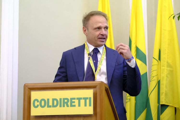 Il ministro dell'Agricoltura e Sovranità alimentare Francesco Lollobrigida