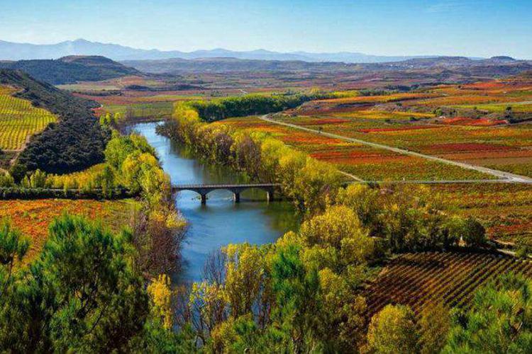 Le vecchie vigne della Rioja (Spagna) sfidano il cambiamento climatico
