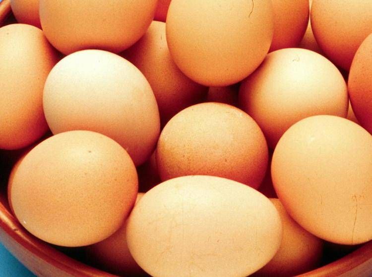 Salmonella - in Italia oltre 3mila casi l