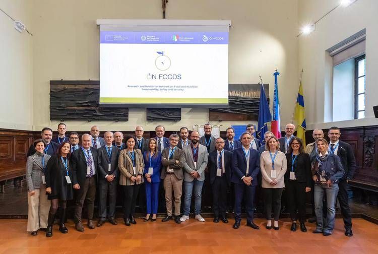 Onfoods, Фонд новой модели устойчивого продовольствия