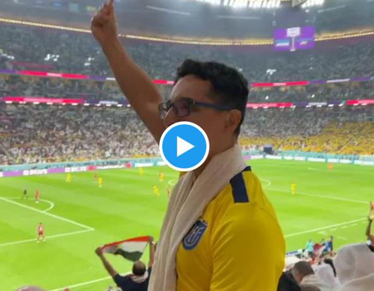 Qatar-Ecuador, sfottò in tribuna: tifoso si scusa - Video