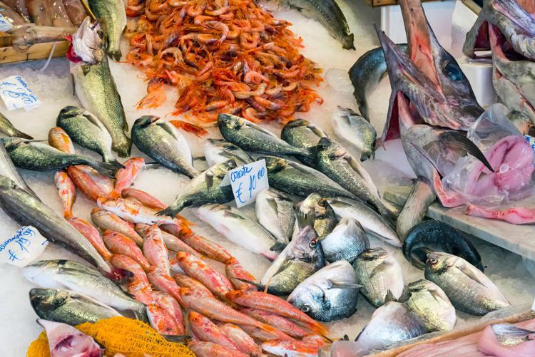 Da Msc-Ieo 9 ricette di pesce amiche della salute e dell'ambiente