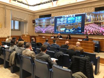 Pnrr, Caprioli (Igibd): “Occasione unica per vera infrastruttura digitale in sanità”