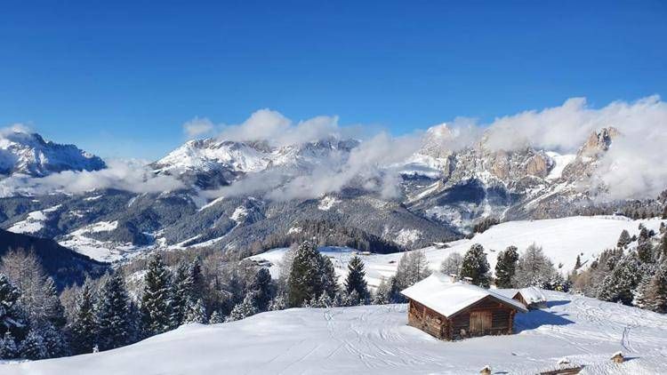 Montagna, assessore Trento: ''Neve fresca e sole, oggi giornata meravigliosa''