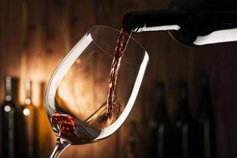 Calice di vino - (Fotolia)