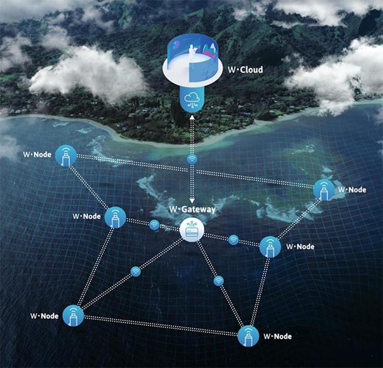 Innovazione, l'italiana Wsense insignita a Davos dell'Ocean Data Challenge