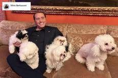 https://www.adnkronos.com/resources/027d-172fda9e8720-f9ee622d5992-1000/format/medium/berlusconi_cani_ufficiale_fb.jpeg