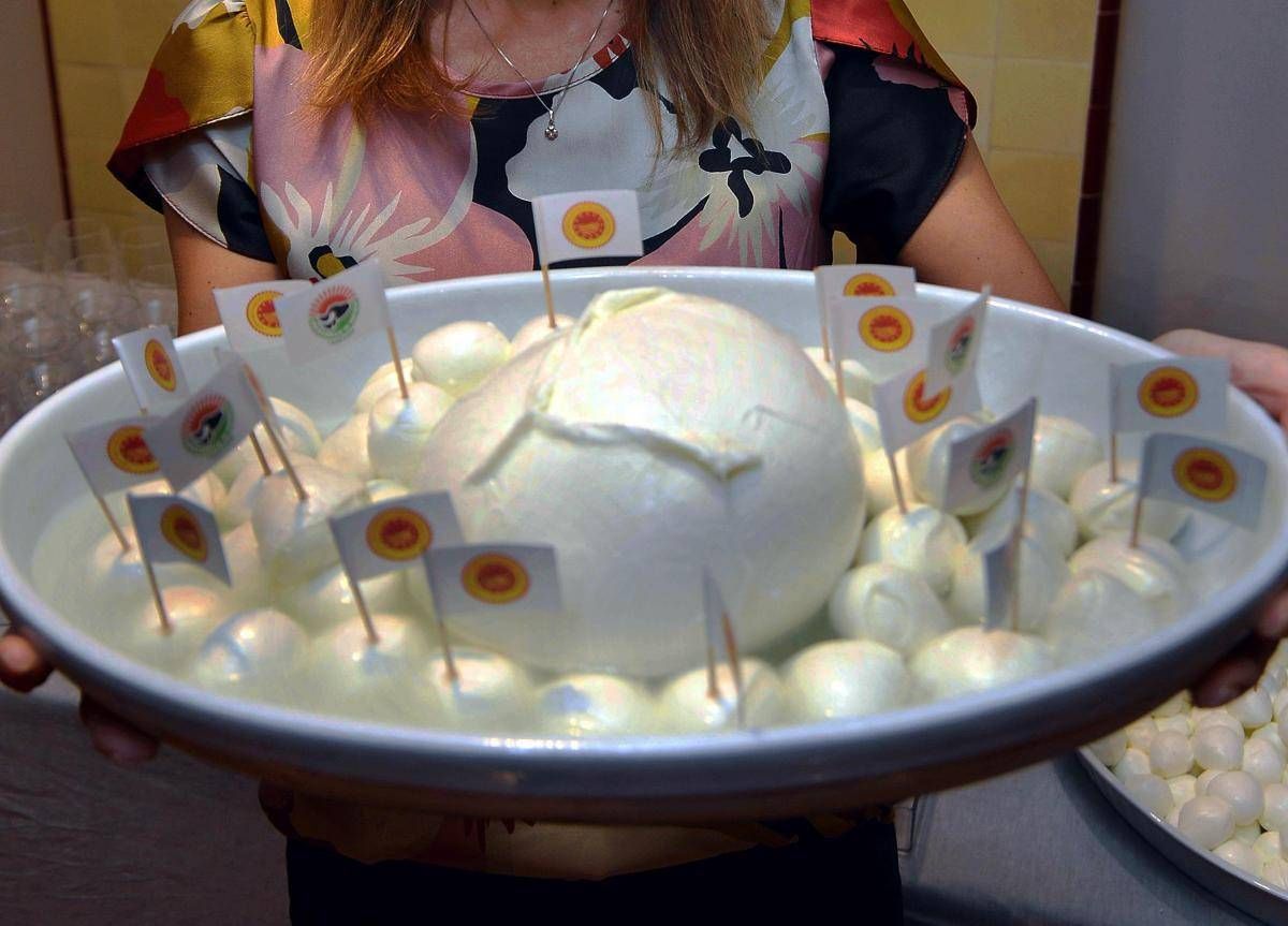 Nasce l'Osservatorio economico sulla filiera della Mozzarella di Bufala campana Dop